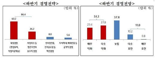 중소기업 10곳 중 9곳 올해 하반기 투자·신사업진출 없어