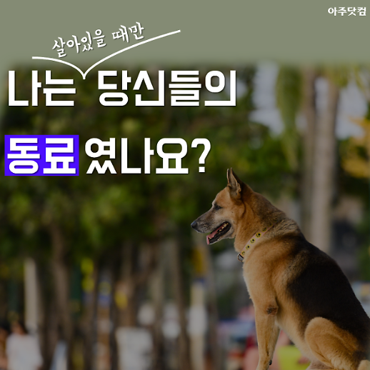 나는 살아있을 때만 당신들의 동료였나요?