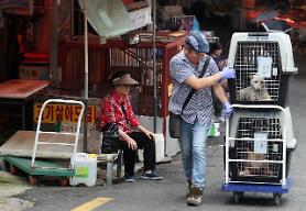 Chợ thịt chó lớn bậc nhất Hàn Quốc bị đóng cửa