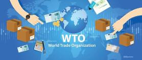 Từ Tổng Thống Trump đến Thủ tướng Abe ... WTO lâm vào “khủng hoảng thương mại tự do”