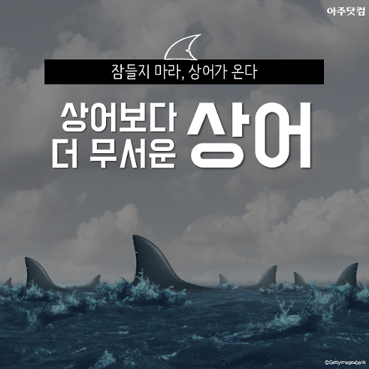 잠들지 마라, 상어가 온다...미국 플로리다엔 상어보다 더 무서운 상어가 있다