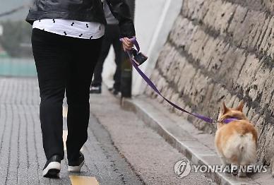 맹견 소유자 책임보험 가입해야 하나요?