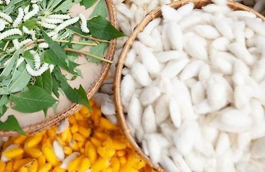 [경제강국, 기술독립이 만든다] <실크단백질②>​5년간 국내 특허 381건…제품화 성공은 극소수