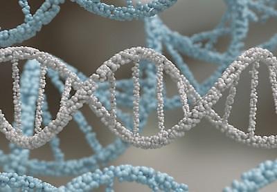 미래에 위험한 질환을 알고 보험 가입하는 시대가 오나요?