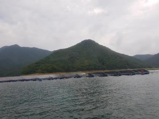 [르포]안전한 물 위의 미래에너지…청풍호 수상태양광 발전소 가보니