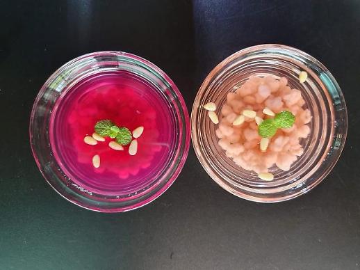 [광화문갤러리] 보리수단(水團)이라는 음식을 아시나요