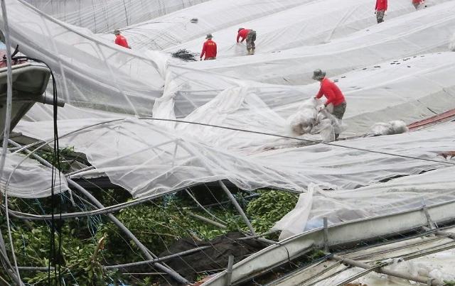 台风“玲玲”导致韩国9400余处设施受损
