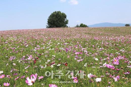 추석 연휴 나들이…가볼만한 곳 어디?