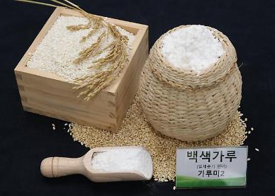​[미래의 농어촌] 똑같은 쌀 아니에요…바로 빻아 쌀가루 만드는 가루미 화제