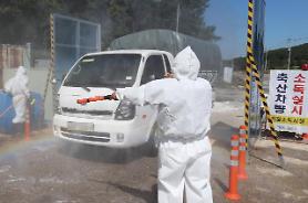 [INTERVIEW] Expert demands extreme measures to contain spread of African swine fever