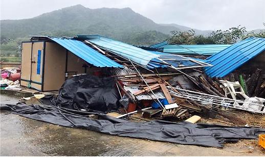 [슬라이드 화보] 물폭탄·강풍 몰고 온 태풍 타파에 인명·재산피해 속출