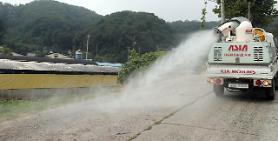 S. Korean spy agency reports outbreak of pig disease across N. Korea 