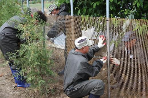 ASF 바이러스 야생 멧돼지로 넘어가면 통제 불능 우려