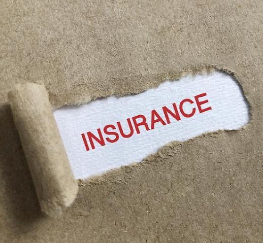 [펀테크] 보험도 ‘펀(FUN)하게’…재미요소 더했다