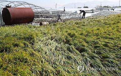 ​(농식품부-아주경제 공동기획) 1년 농사 한 번에 와르르…재해보험 대폭 강화