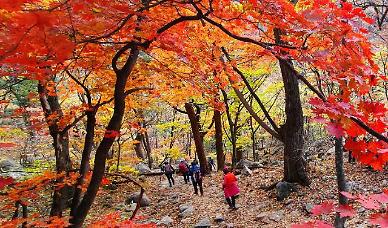 [슬라이드 화보] 붉게 물든 설악산 단풍...가을 만끽하는 등산객들