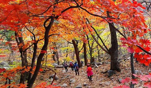 [슬라이드 화보] 붉게 물든 설악산 단풍...가을 만끽하는 등산객들