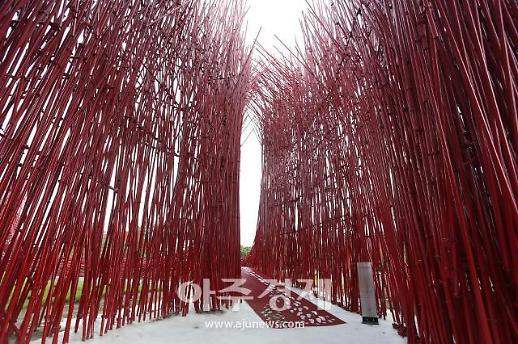 동굴탐험부터 예술작품 감상까지…강원도 여행이 대세