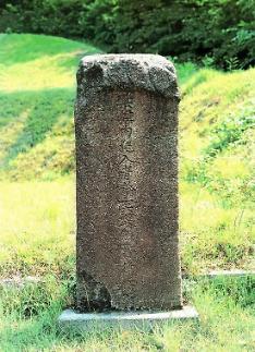 연산 폐위 쿠데타는 농락당한 누이 복수극?