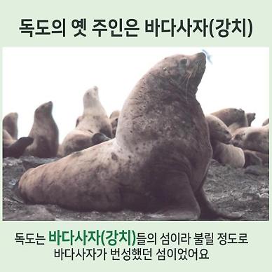 [아주 쉬운 뉴스 Q&A] 독도 강치 뭐길래, 내년 예산 14조원 편성?