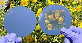 Researchers develop transparent crystalline silicon solar cells with neutral color similar to glass