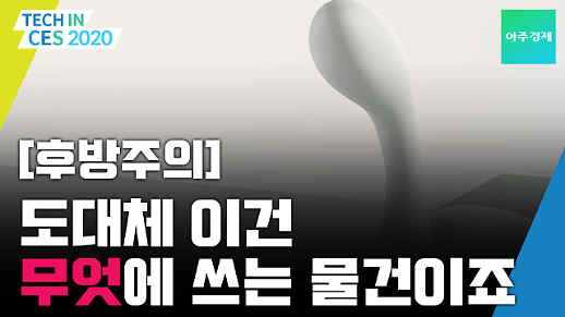 [CES 2020] 이 제품 19금 아닙니까?