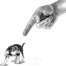 W+q4sO2ajV0g67CY66Ck6rKsIOKAmO2GoOyInOydtOKAmSDsgrTtlbTtlZwgMjDrjIAg64Ko7ISxLi4uIOyZuOq1reyXkOyEnCDsnqztjJAg67Cb64qU64uk66m0Pw==