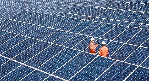 [태양광되짚기] 중국발 태양광의 역습...저가공세로 생태계 붕괴 우려↑