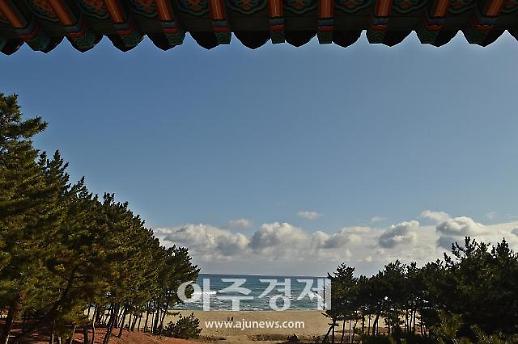 [기수정의 여행 in] 울진 관동팔경길 25km…망양정·월송정 저넘어 바다는 사색에 잠기고