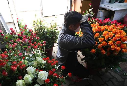 신종코로나에 직격탄...화훼산업 편의점·온라인 판매 늘린다
