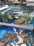 Chợ thủy sản nổi tiếng Hàn quốc NoryangJin "vắng như chùa bà Đanh" thời virus corona …Giá Kingcrab giảm sâu