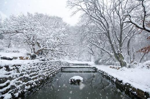 [광화문갤러리] 마지막 세 과시하는 겨울 전국의 설경 