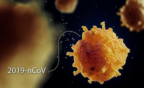 [코로나19 이펙트] 베트남 코로나 전쟁 승리 유력…경제적 타격은 불가피