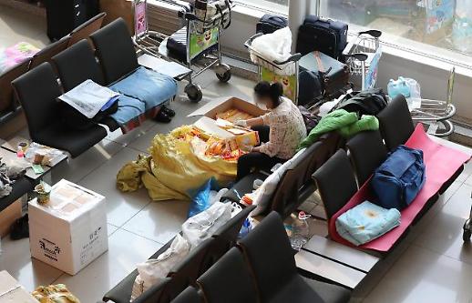 [코로나19] 韓마스크 사재기하는 중국 보따리상