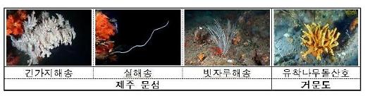 [농어촌] 해양환경공단 우리 갯벌 생물 총 650종…유럽 와덴해 1.6배 많아