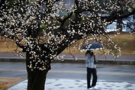 [Coronavirus] Health officials hope warm weather will slow virus spread