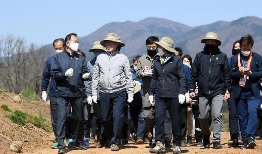 文在寅植树节访问江原道 鼓励居民恢复当地植被