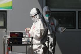 [Coronavirus] Virus contagious from second day of asymptomatic infection in animal experiment