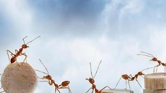 KOSPI tăng 1,6% và phục hồi mức 1.830...Tỷ giá hối đoái đồng đô la 1.219,5 won