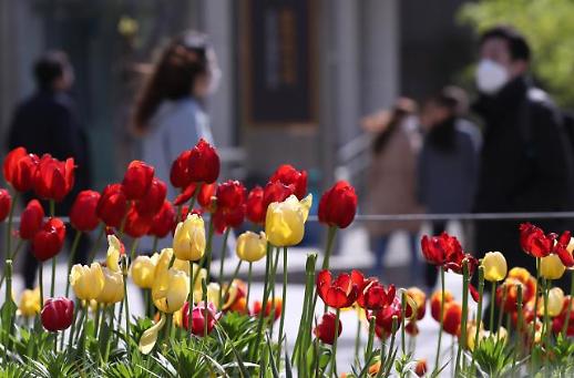 [광화문갤러리] 영하 날씨에 화들짝, 매서운 4월의 꽃샘추위