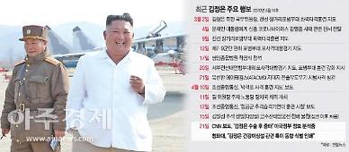 중국發 '김정은 중태·김여정 후계자 계승 준비설'…진실여부는?