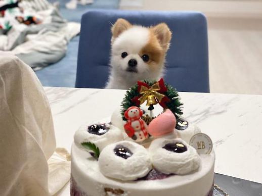 [21대 국회에 기대한다]②동물병원 표준수가제…펫 보험 활성화 기대