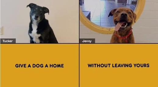 [포스트 코로나 대비나선 IT업계] ② 집콕시대 몸값 높아진 디지털 콘텐츠