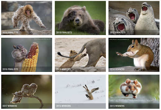 [광화문갤러리] 코로나 스트레스, 결국 자연 치유가 답