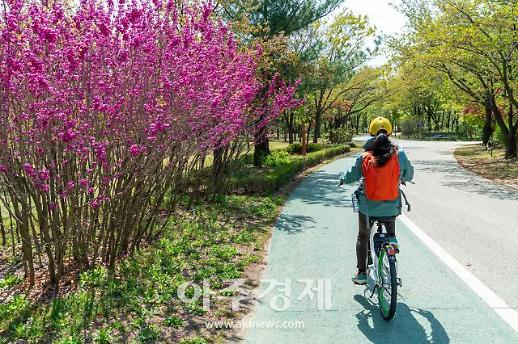 [기수정의 여행 in] 두 바퀴로 달리는 서울의 신록…코로나블루 안녕