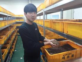 White-spotted flower chafer beetles top list of popular insect species in S. Korea