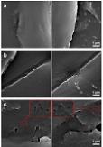 Biotech research institute develops eco-friendly plankton capable of decomposing PET bottle