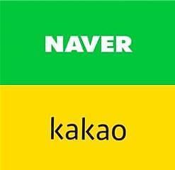 [IT株 뜬다는데] ① 코로나가 부양한 네이버·카카오