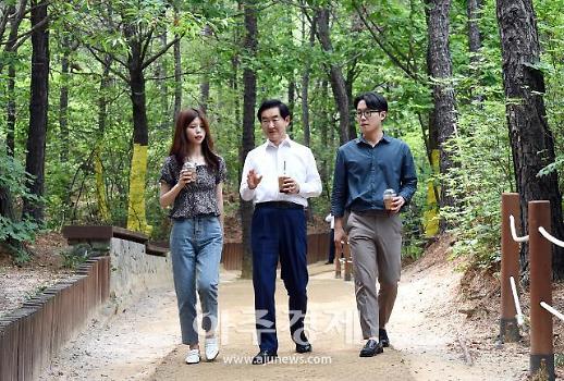 [기획] 사계절 늘 걷고 싶은…의정부 명품 나무숲길 어디?