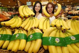 Chuối của Việt Nam được bán tại hơn 80 siêu thị Lotte Mart ở Hàn Quốc